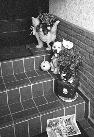 Ceramic dog, cat and flowers on the doorstep welcome visitors to this house in Linn